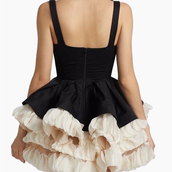 Bronx and Banco
Catalina Ruffled Satin Minidress - Picture 5 of 5